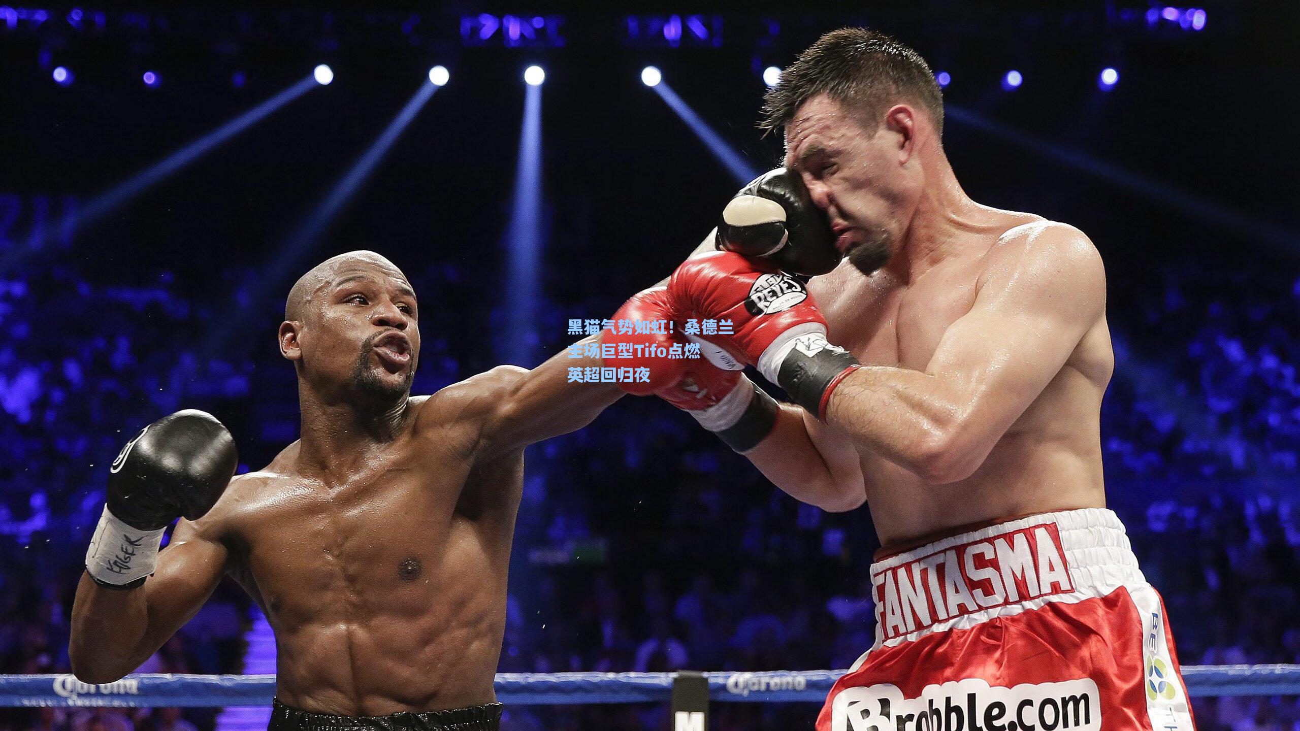 黑猫气势如虹!桑德兰主场巨型Tifo点燃英超回归夜